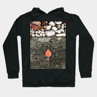 Autumn Leaf with stones Hoodie